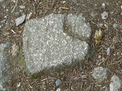 walk_rock_1